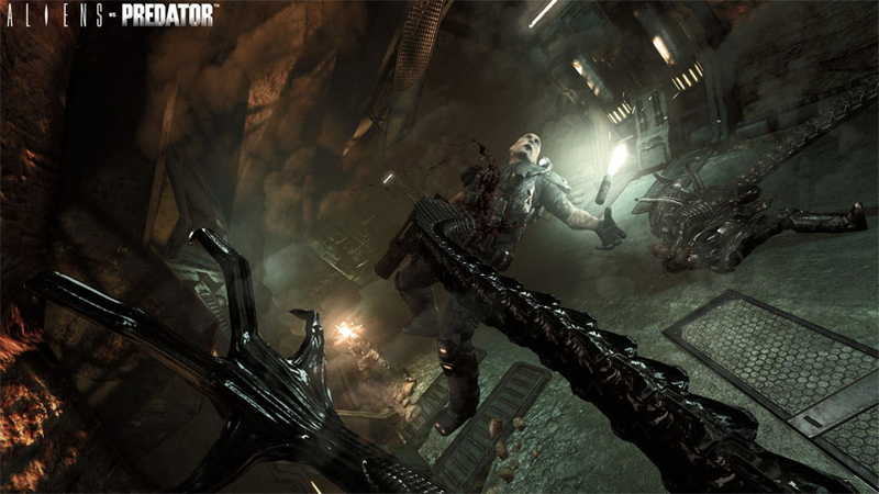 Illustration for article titled Aliens VS Predator: First Screens, Teaser, And Campaign Details